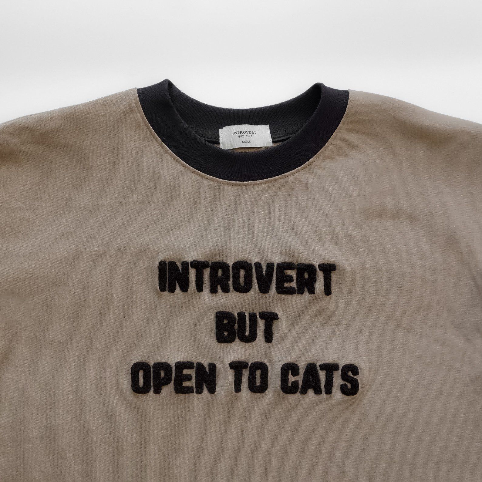 Introvert But Open To Cats T-shirt - Grey