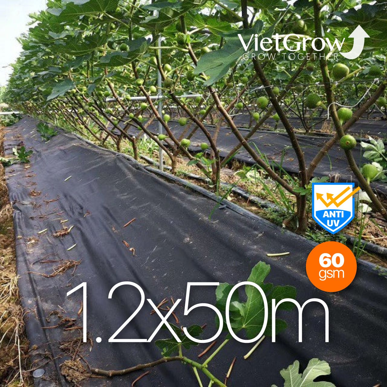 Lưới Vải Chống Cỏ 1.2x50m