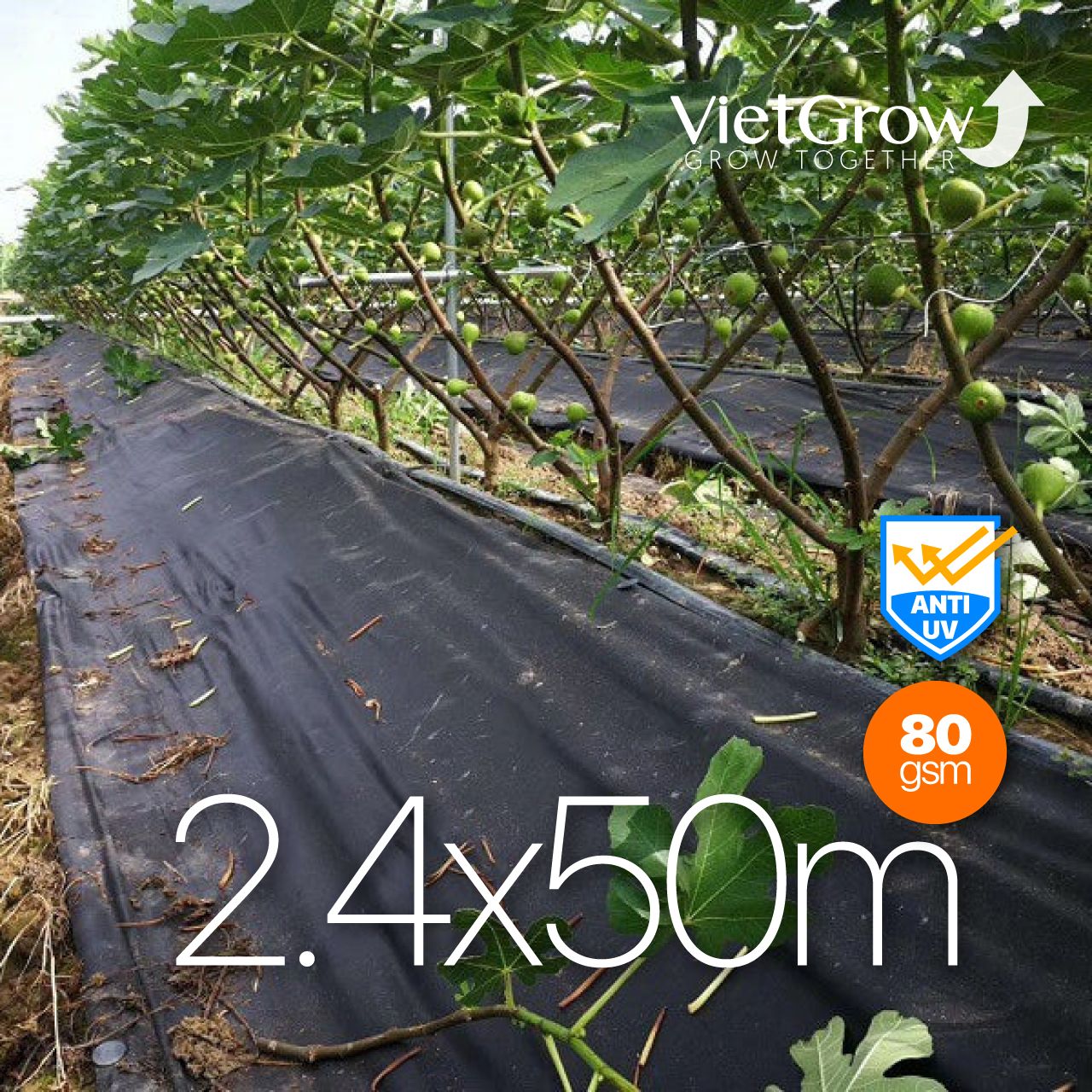 Lưới Vải Chống Cỏ 2.4x50m