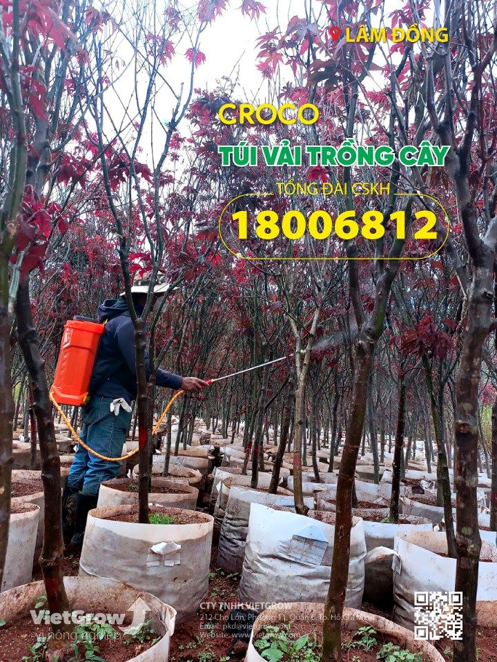  Túi vải trồng cây CROCO 