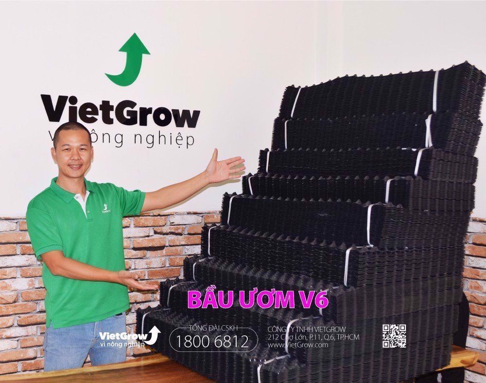 Độ dầy 0.6 - cao 70cm dài 50m | Bầu ươm V6