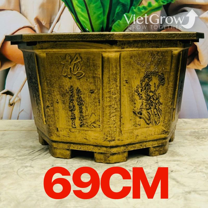 Chậu Nhựa Giả Đồng Bát giác, Đường kính 69cm