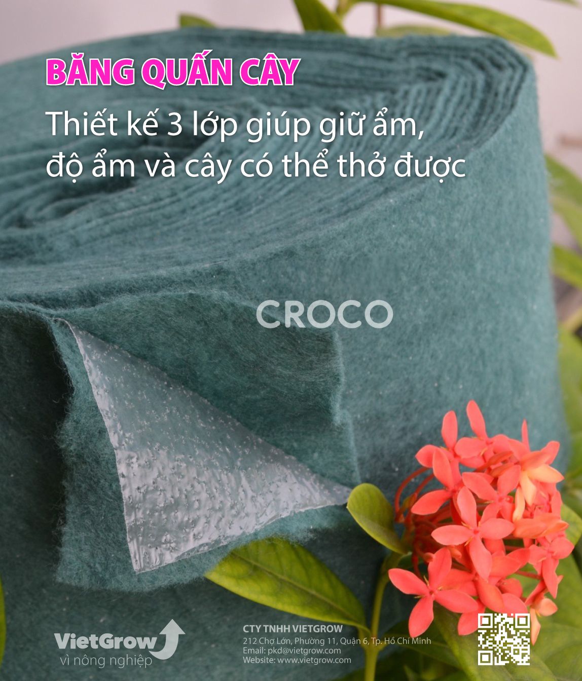 Băng quấn cây