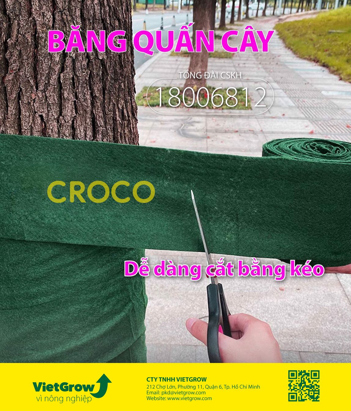 Băng quấn cây