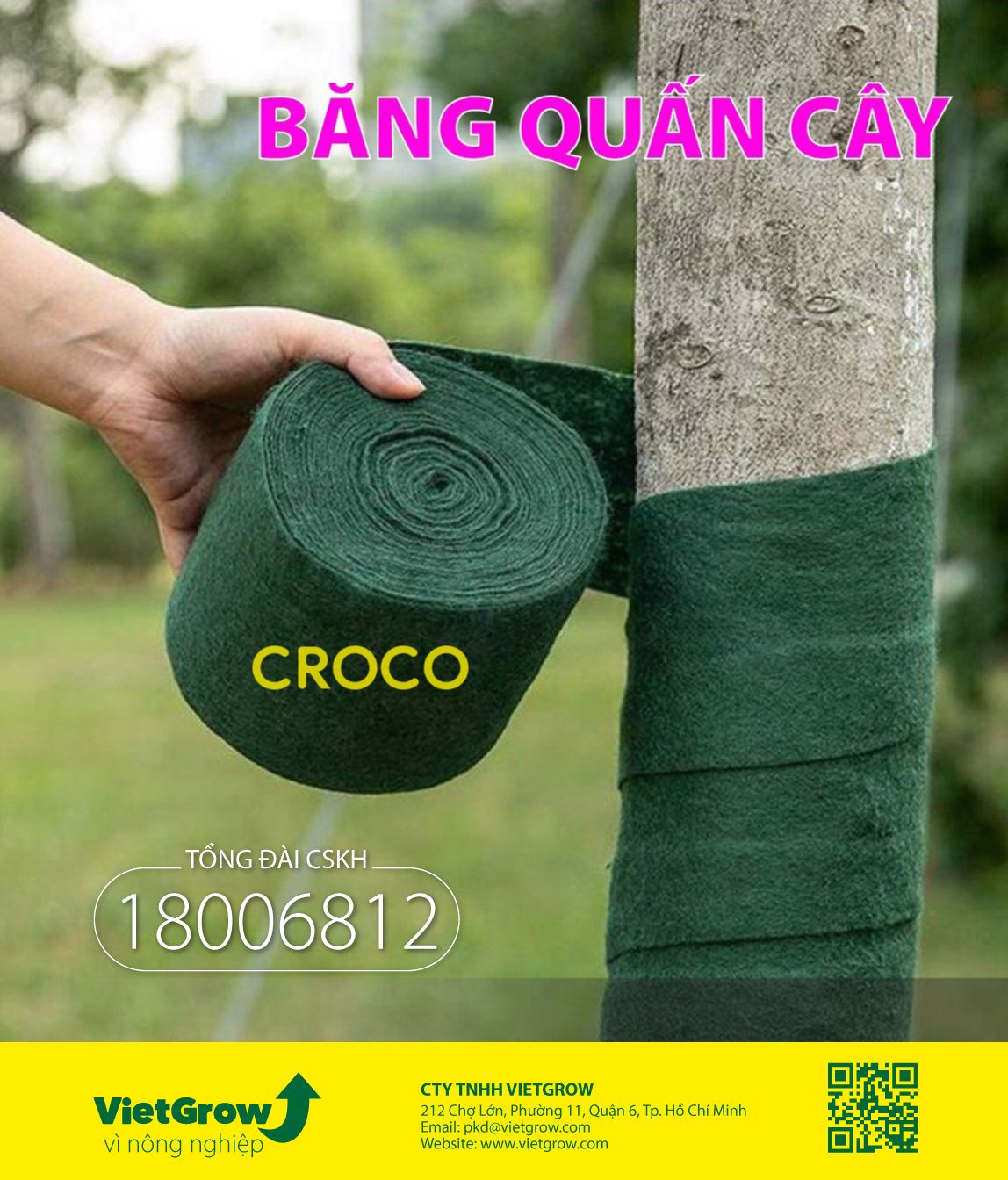 Băng quấn cây