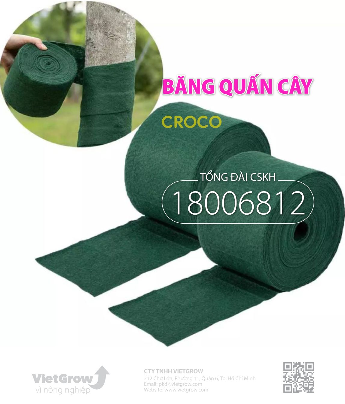 Băng quấn cây