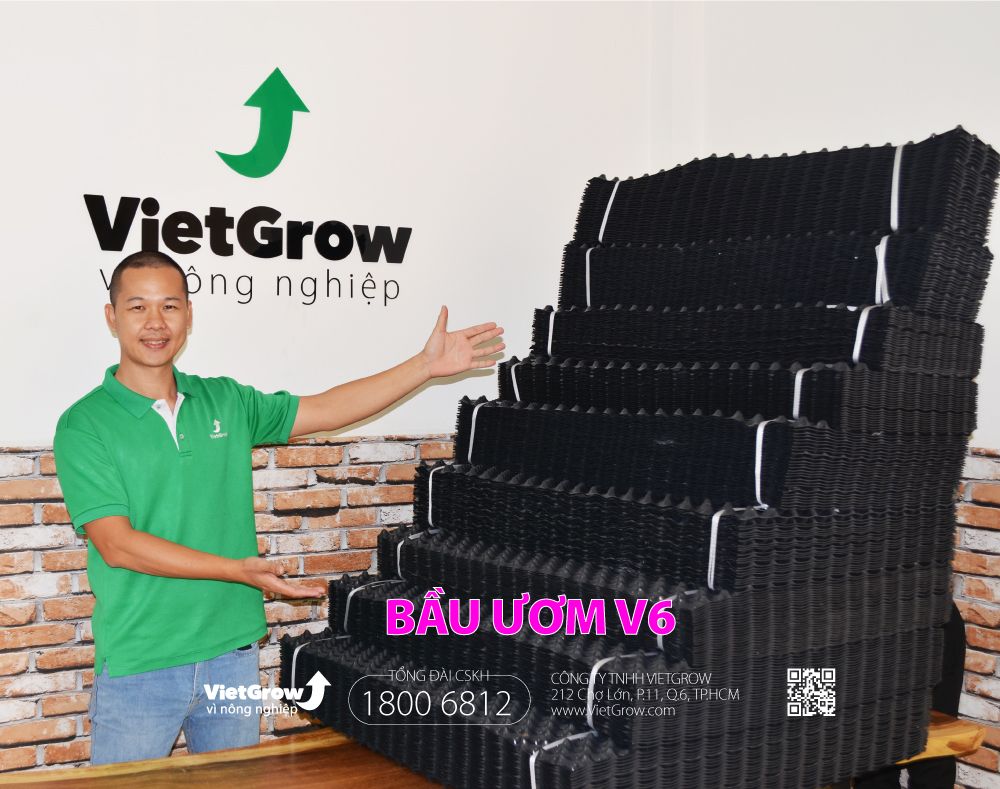 Độ dầy 0.7 - cao 15cm dài 50m | Bầu ươm V6