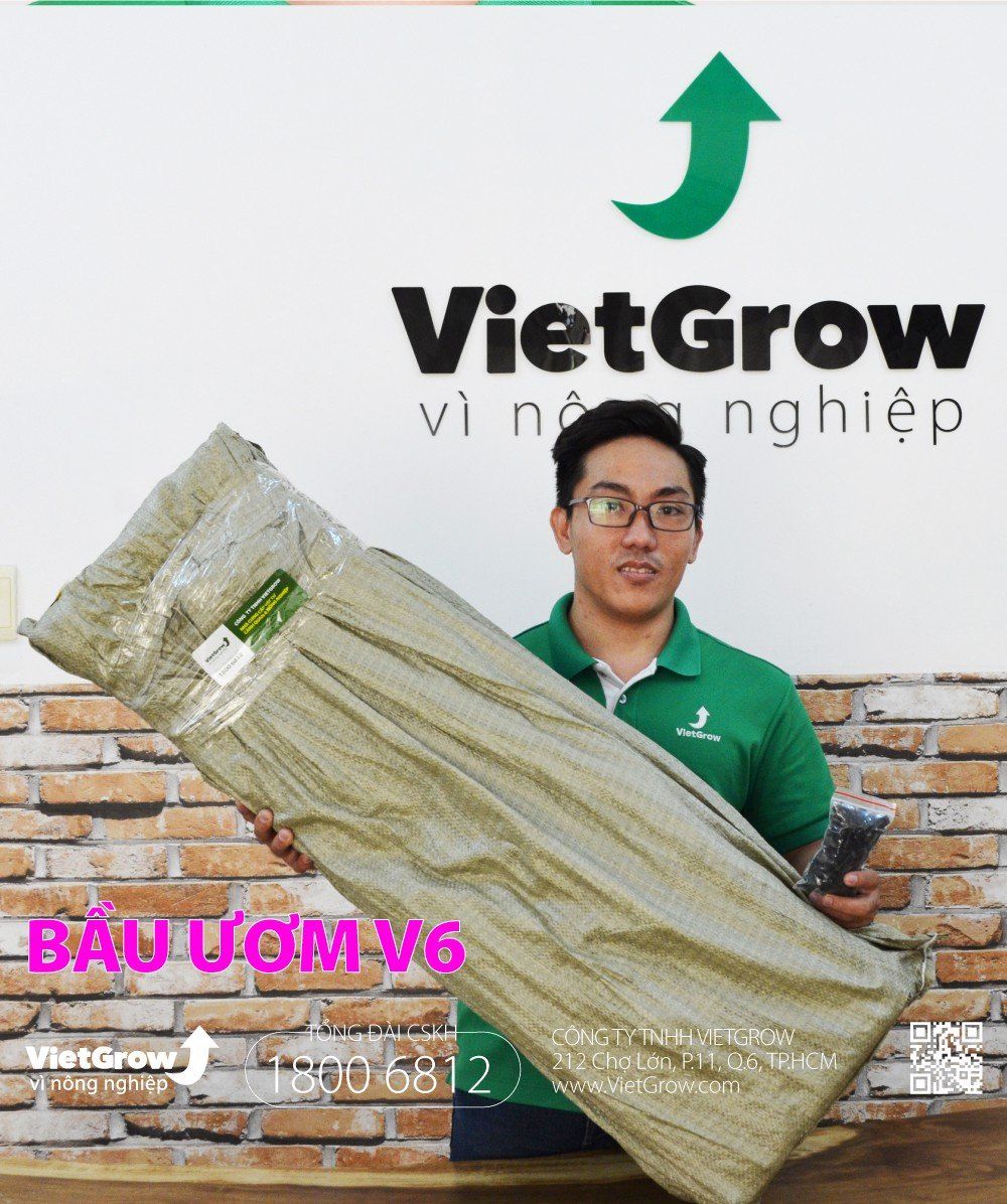 Độ dầy 0.7 - cao 30cm dài 50m | Bầu ươm V6