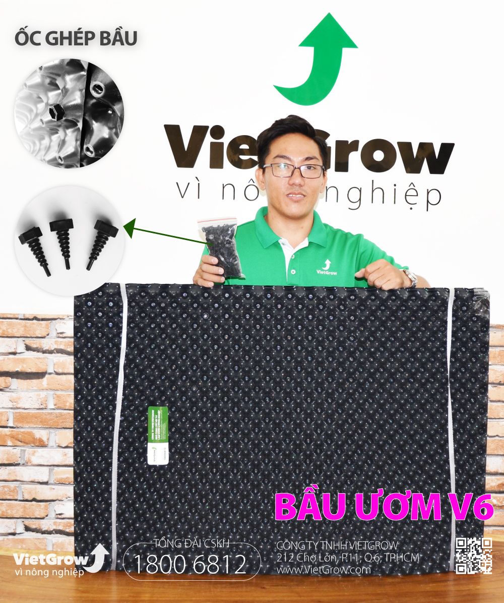 Độ dầy 0.6 - cao 70cm dài 50m | Bầu ươm V6