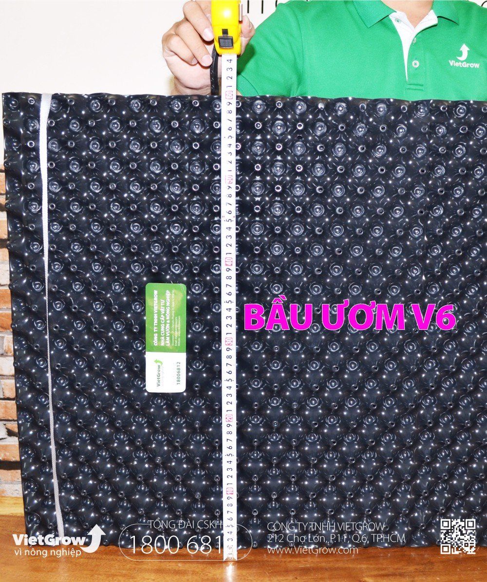Độ dầy 1.0 - cao 60cm dài 50m | Bầu ươm V6