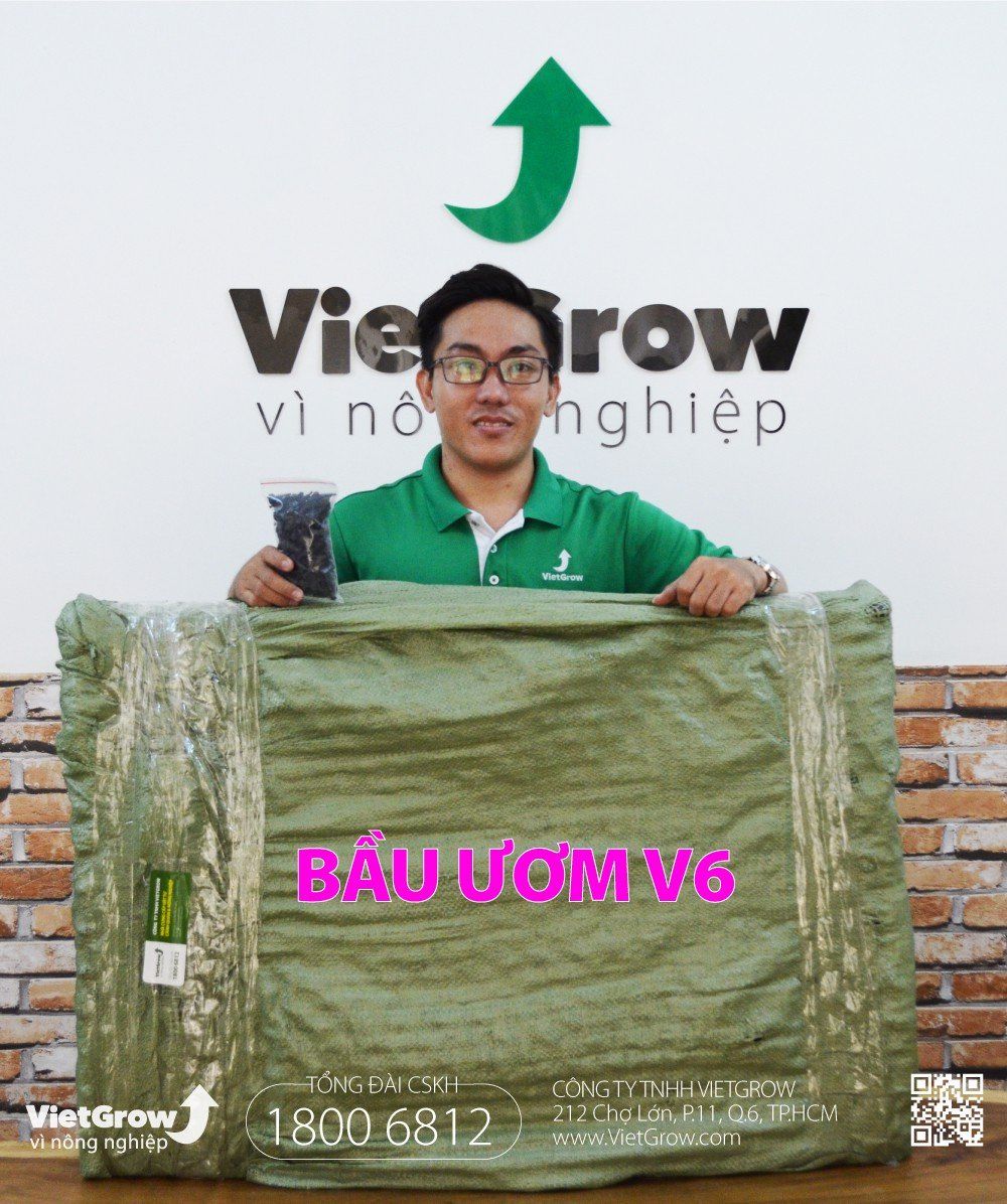 Độ dầy 0.7 - cao 70cm dài 50m | Bầu ươm V6