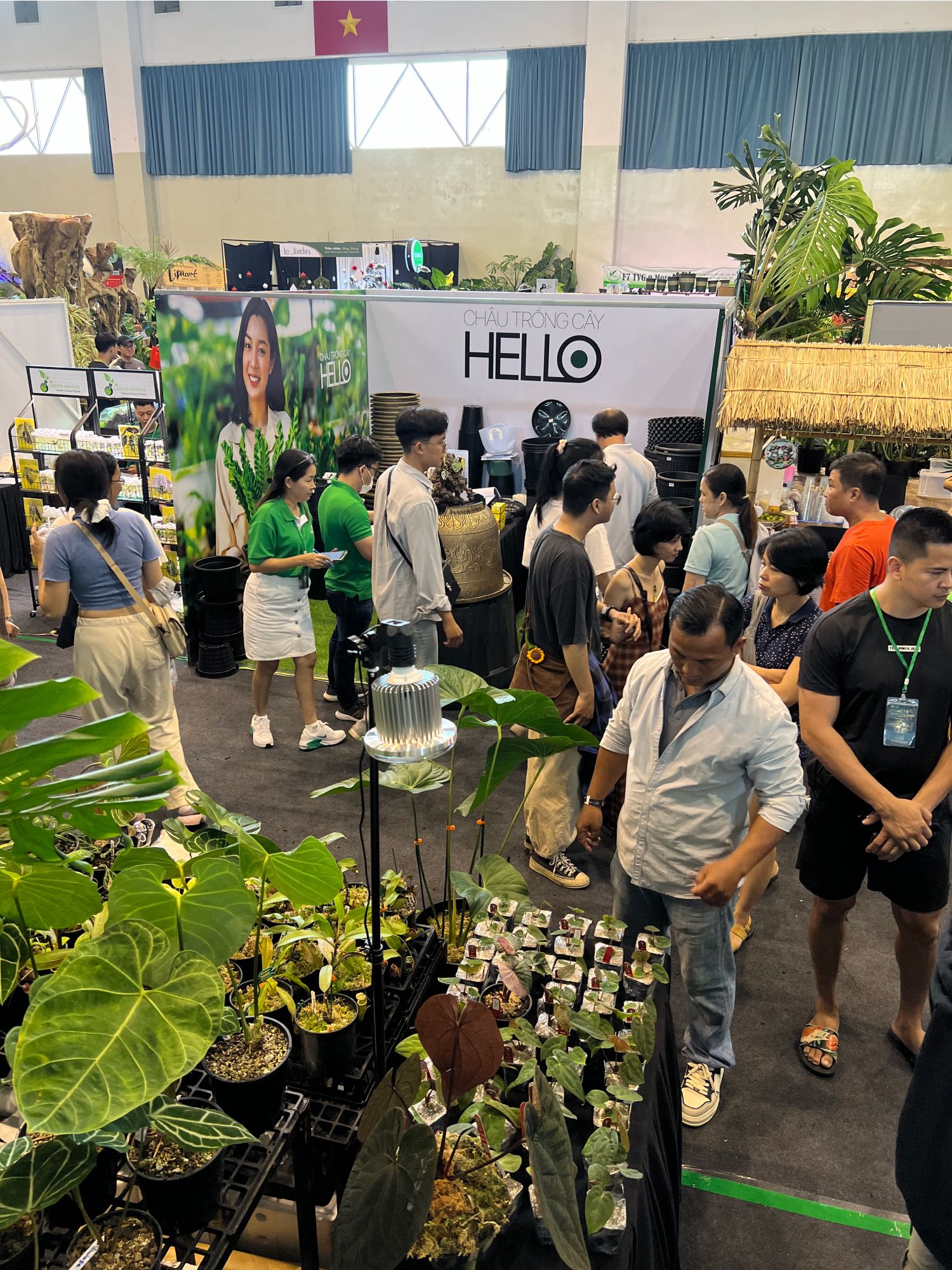 Chậu nhựa HELLO đường kính 65cm (H8)