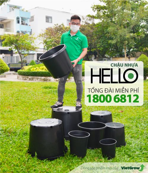 Chậu nhựa HELLO