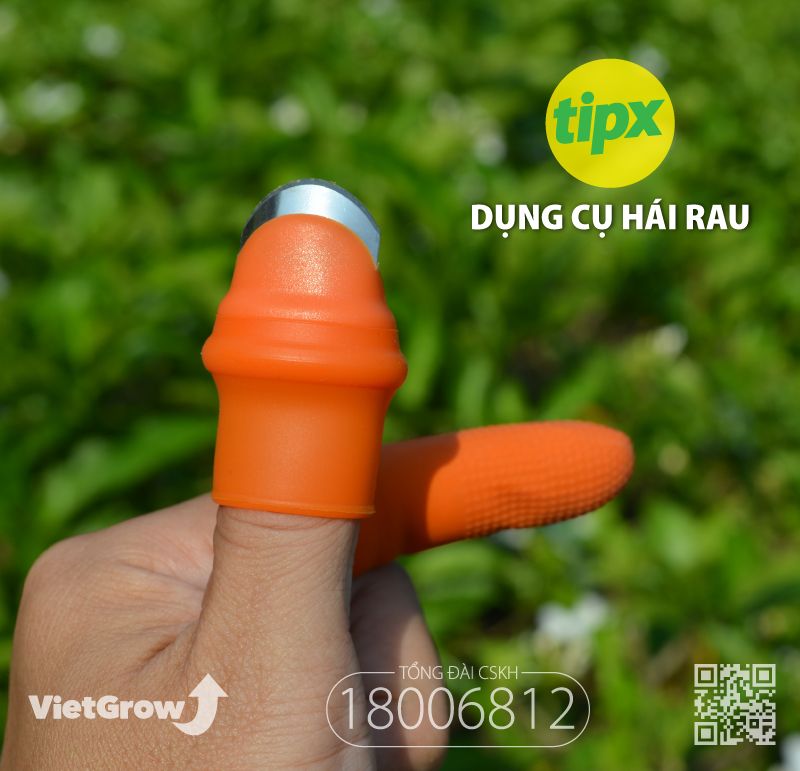 Dụng cụ hái rau, quả