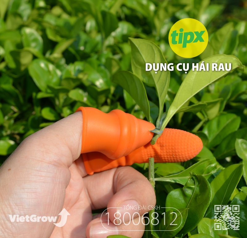Dụng cụ hái rau, quả