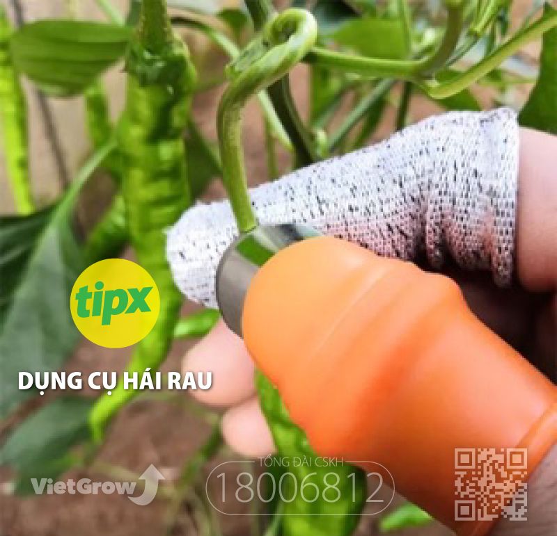 Dụng cụ hái rau, quả