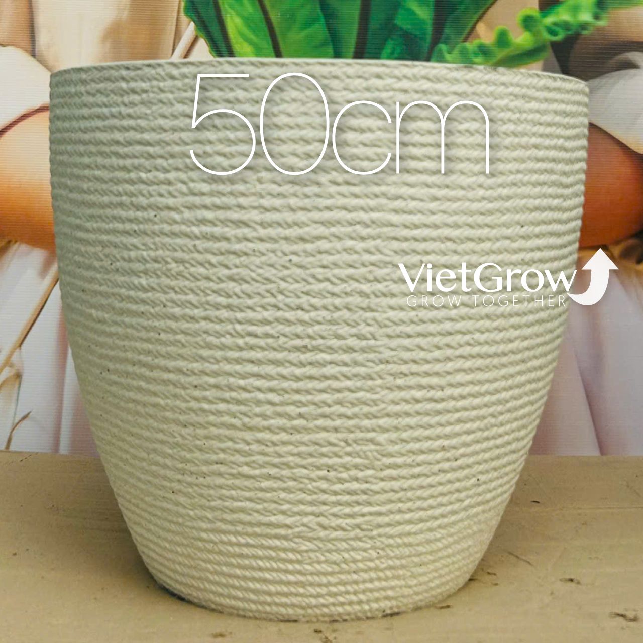 Chậu giả đá màu trắng đường kính 50cm - FLORAL DX6