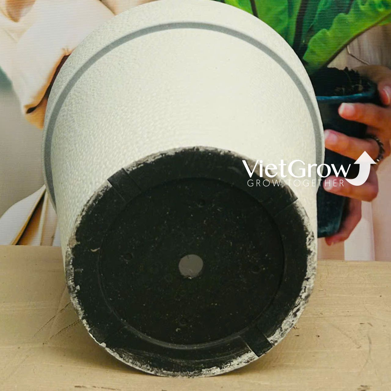 Chậu giả đá màu trắng đường kính 50cm - FLORAL GP3