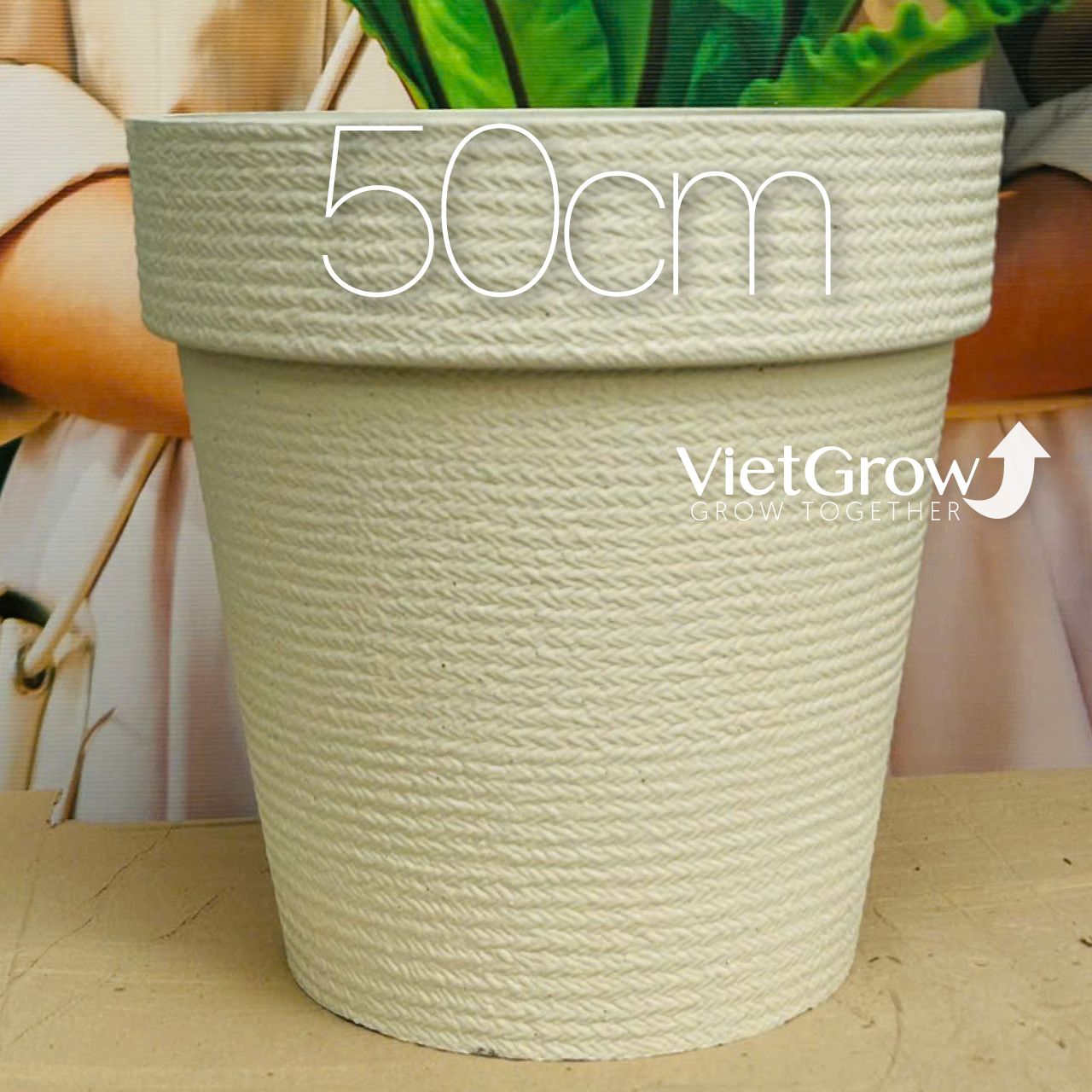 Chậu giả đá màu trắng đường kính 50cm - FLORAL GP3