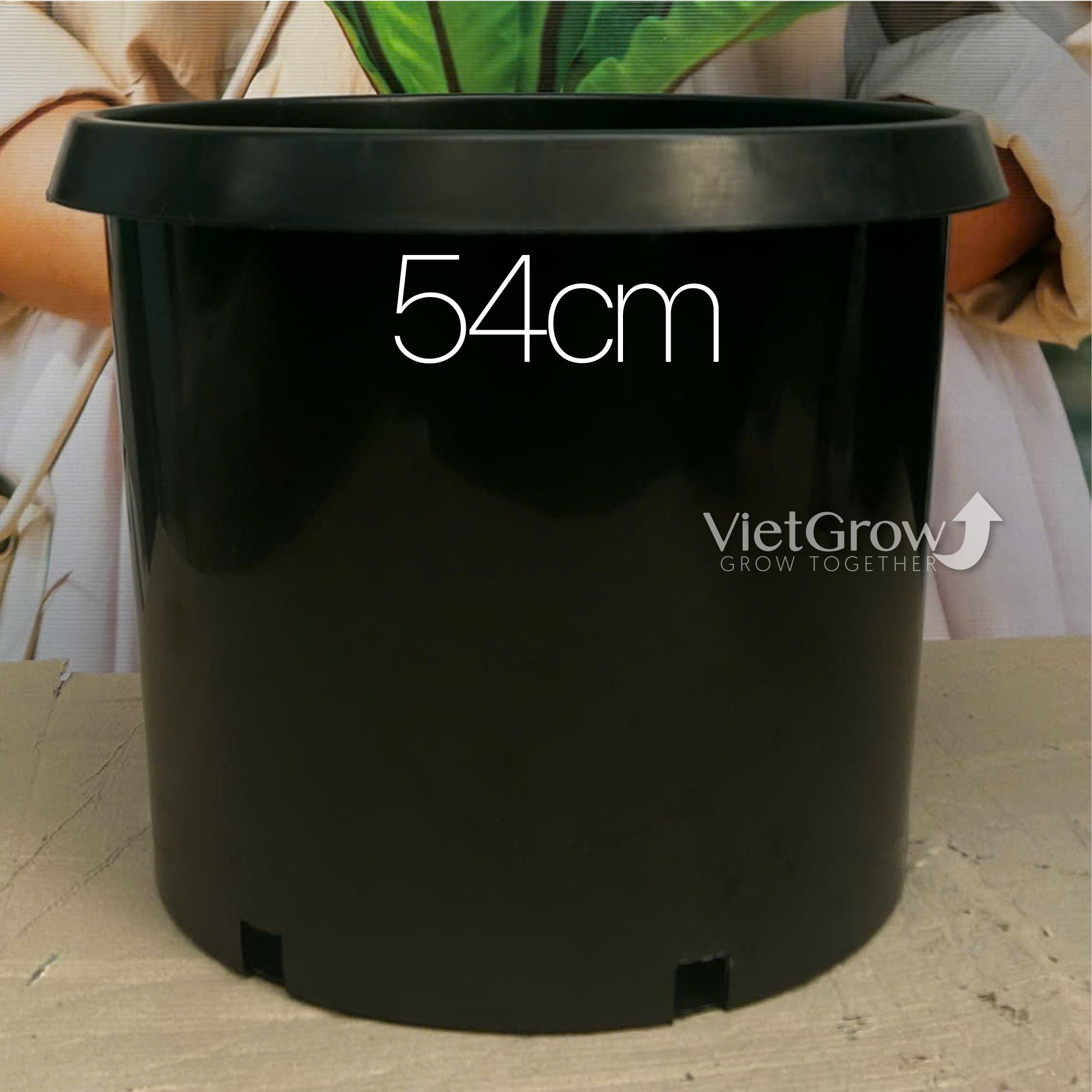 Chậu nhựa HELLO đường kính 54cm (H7)