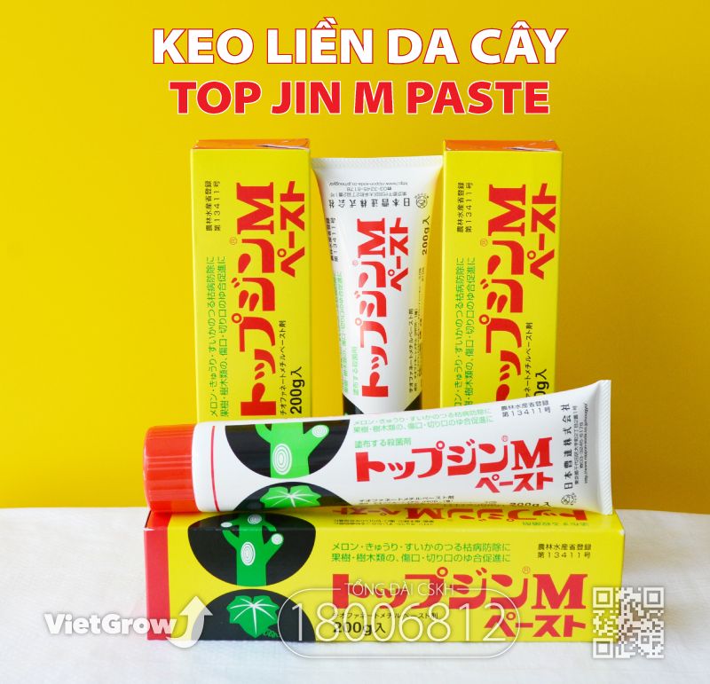 Keo Liền Da (Sẹo) Cây - Top Jin M Paste Nhật Bản 200g