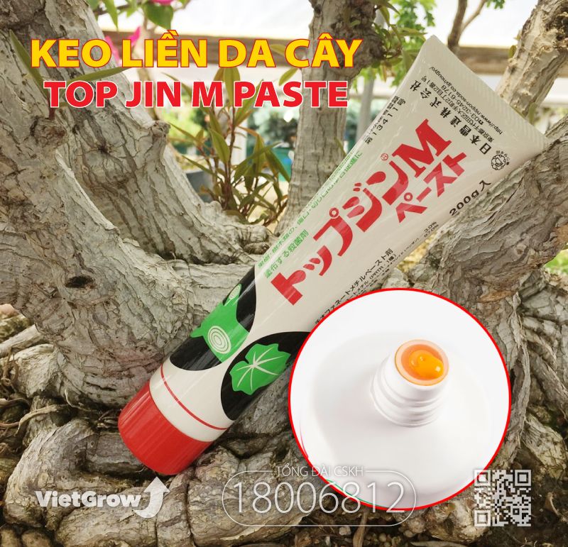 Keo Liền Da (Sẹo) Cây - Top Jin M Paste Nhật Bản 200g