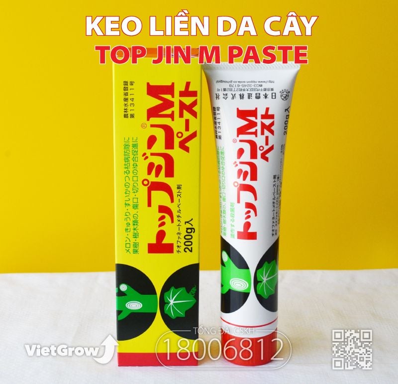 Keo Liền Da (Sẹo) Cây - Top Jin M Paste Nhật Bản 200g