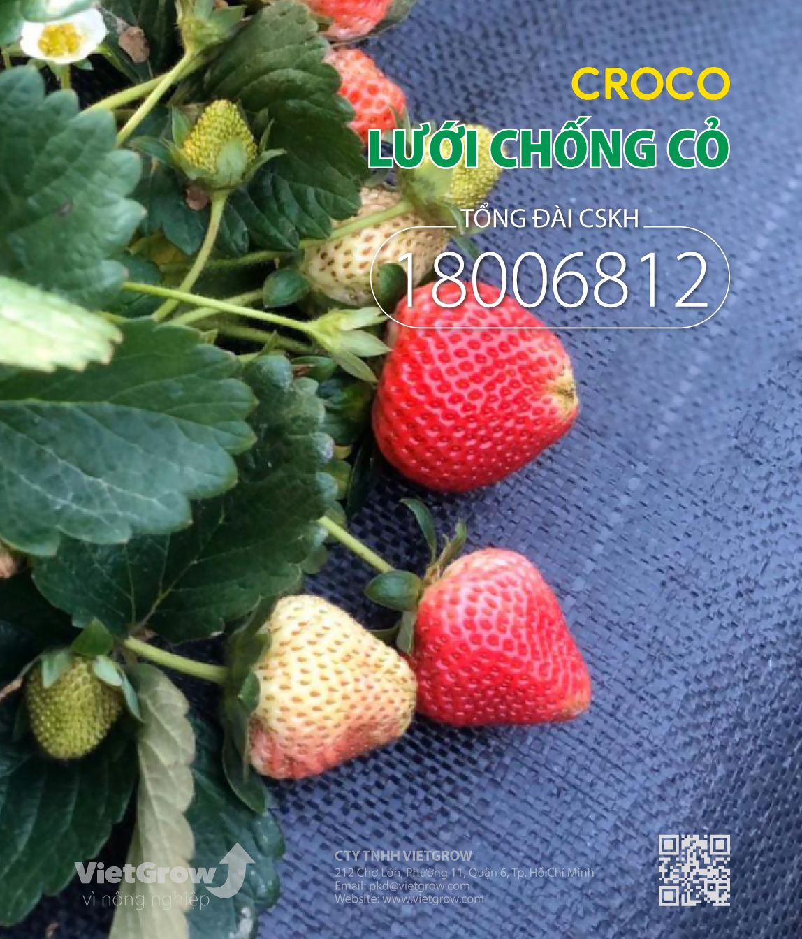 Lưới chống cỏ CROCO ( Cuộn dài 50m )