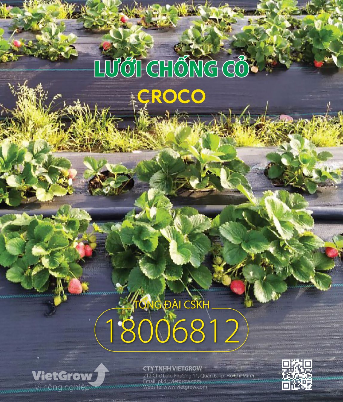 Lưới chống cỏ CROCO ( Cuộn dài 50m )
