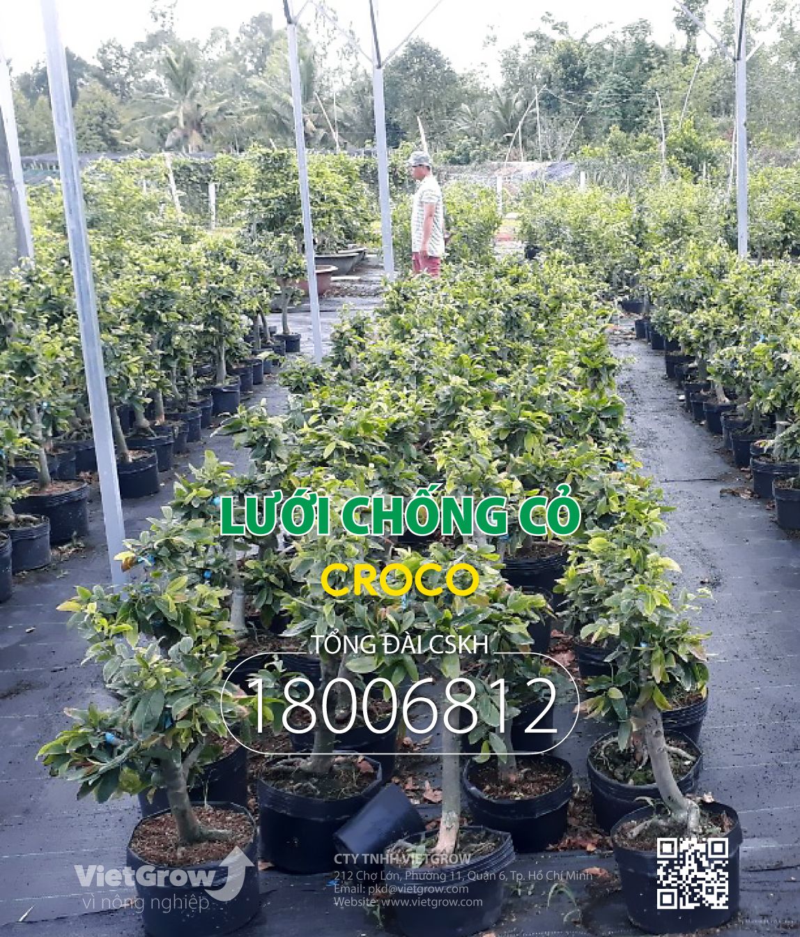 Lưới chống cỏ CROCO ( Cuộn dài 50m )