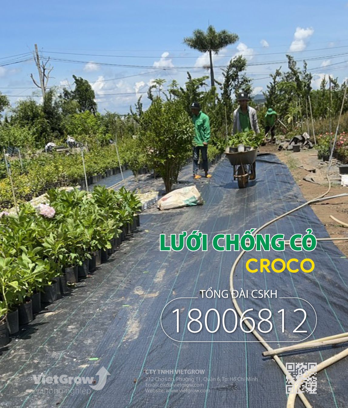 Lưới chống cỏ CROCO ( Cuộn dài 50m )