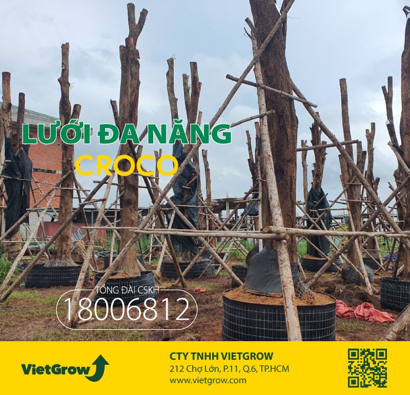 Lưới đa năng