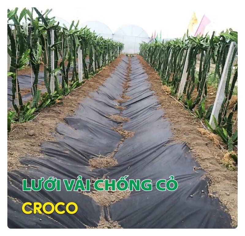 Lưới vải chống cỏ