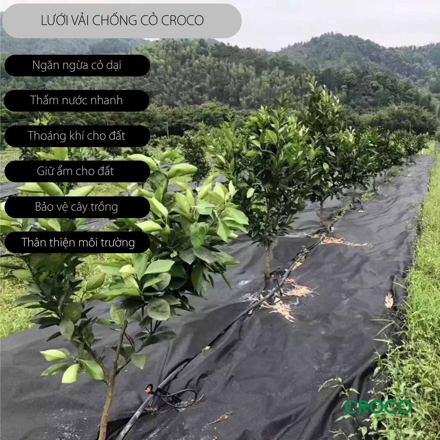 Lưới vải chống cỏ