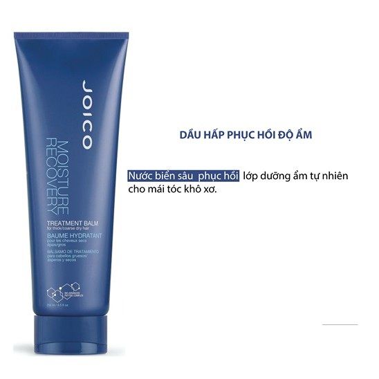 Hấp dầu ẩm & mềm mượt JOICO 250ml (MP5223)