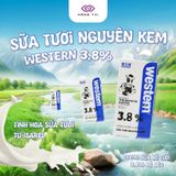 Sữa tươi nguyên kem Western 3.8% Fat 1L - Sữa Tươi Nhập Khẩu