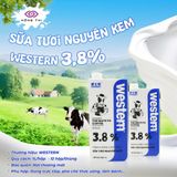 Sữa tươi nguyên kem Western 3.8% Fat 1L - Sữa Tươi Nhập Khẩu