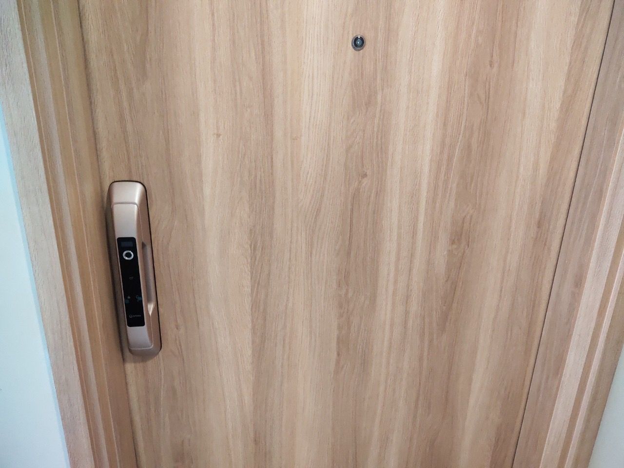 Khóa vân tay cao cấp HPS- P 8030