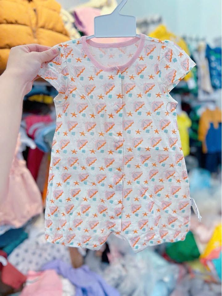 BODY ĐÙI XUẤT HÀN VỎ SÒ