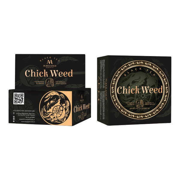 Trà đen Cây tràng sao Chick Weed