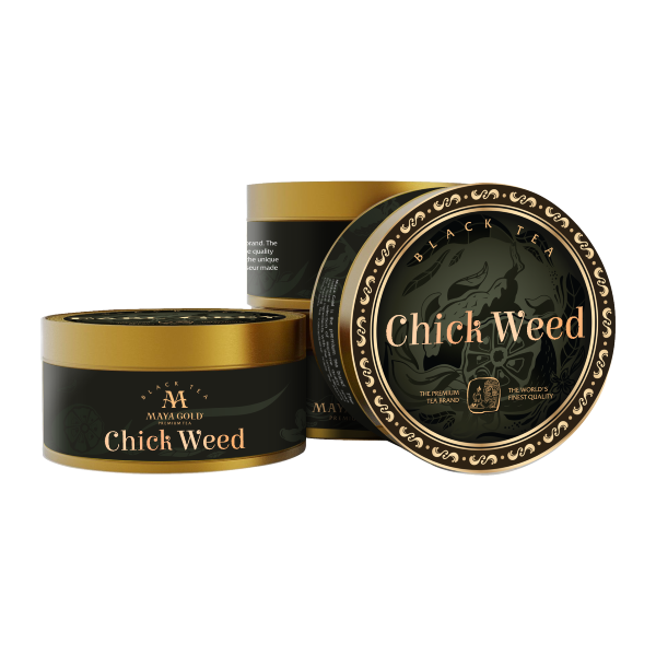 Trà đen Cây tràng sao Chick Weed