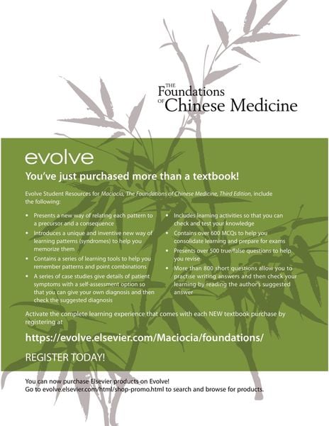 the_foundations_of_chinese_med