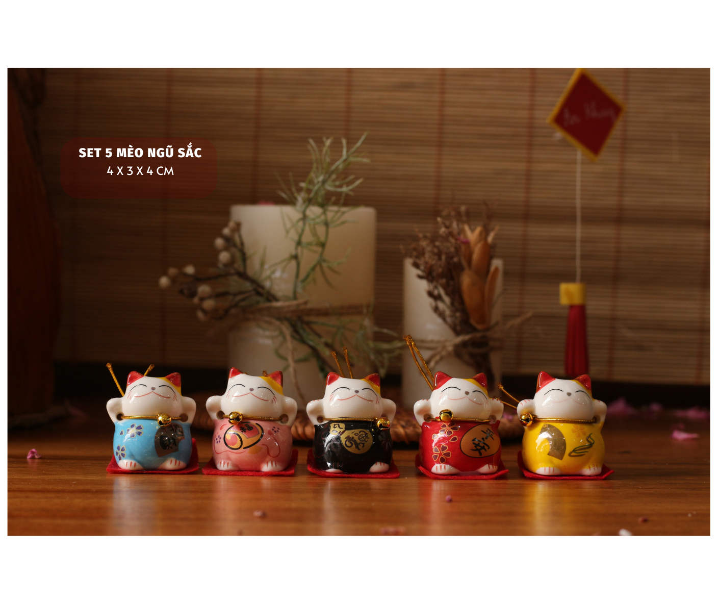 BỘ MÈO THẦN TÀI NGŨ SẮC