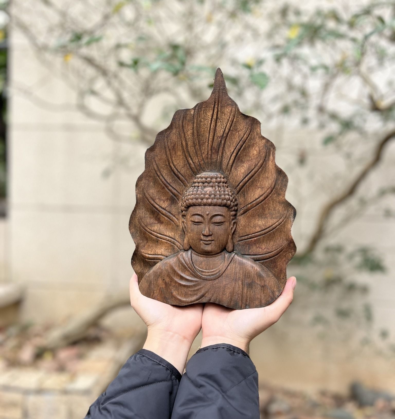 TƯỢNG: BỒ ĐỀ TÂM