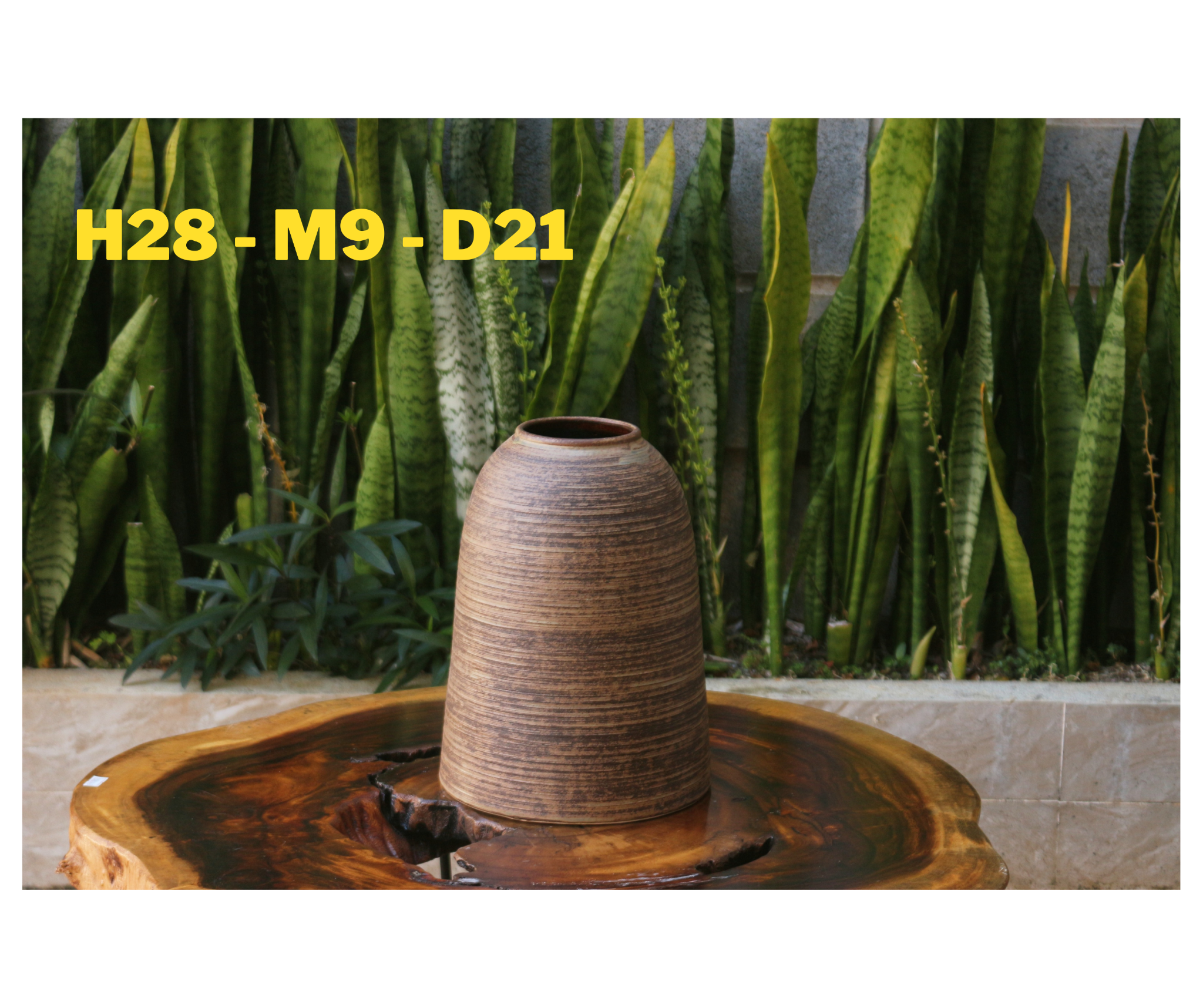 BÌNH CHUÔNG H28-M9-D21