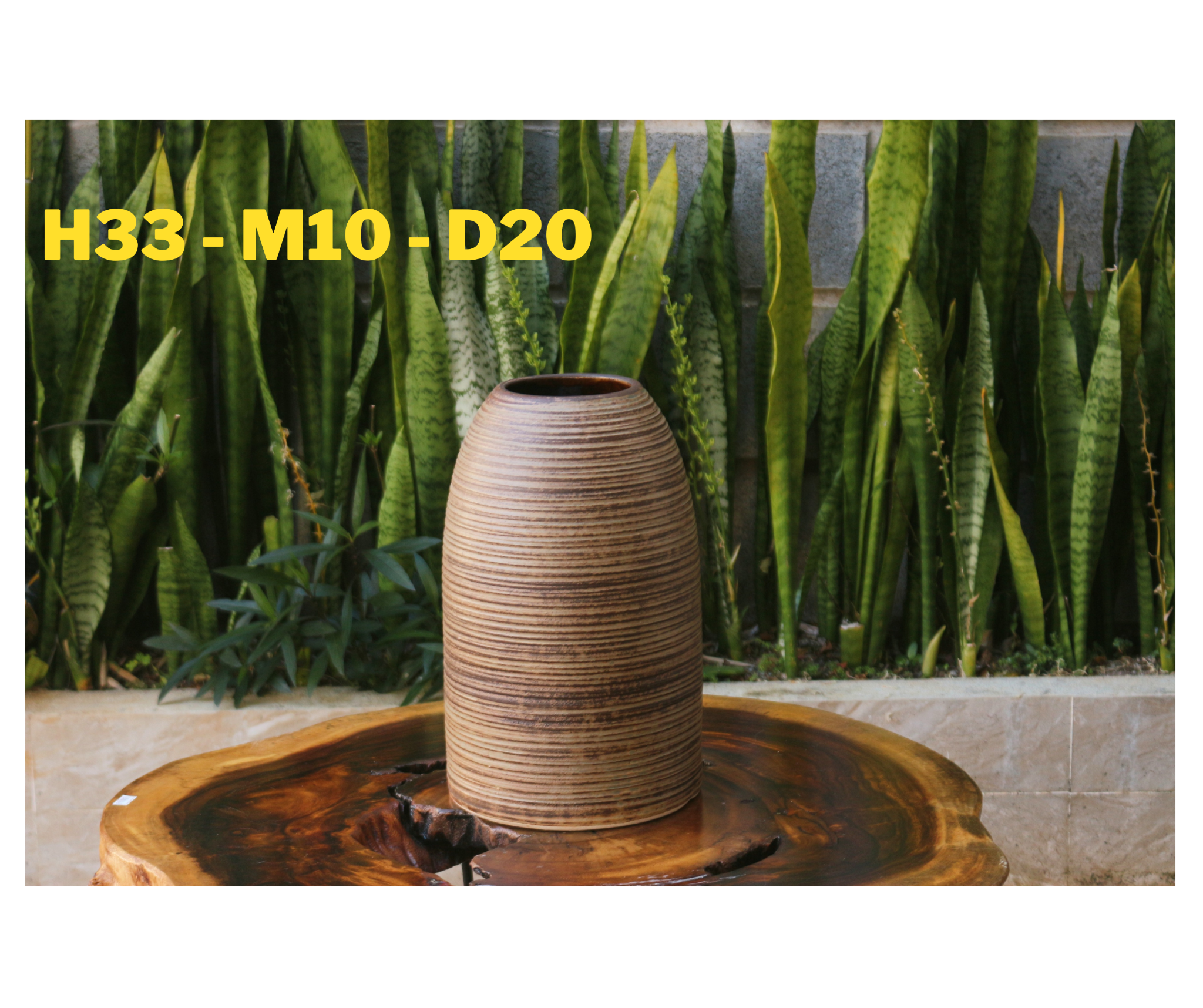 BÌNH CHUÔNG H33-M10-D20