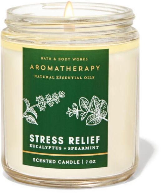 NẾN BBW: EUCALYPTUS SPEARMINT