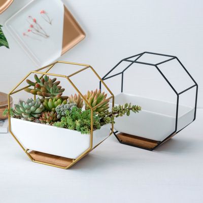 KHUNG CHẬU CÂY TREO TƯỜNG