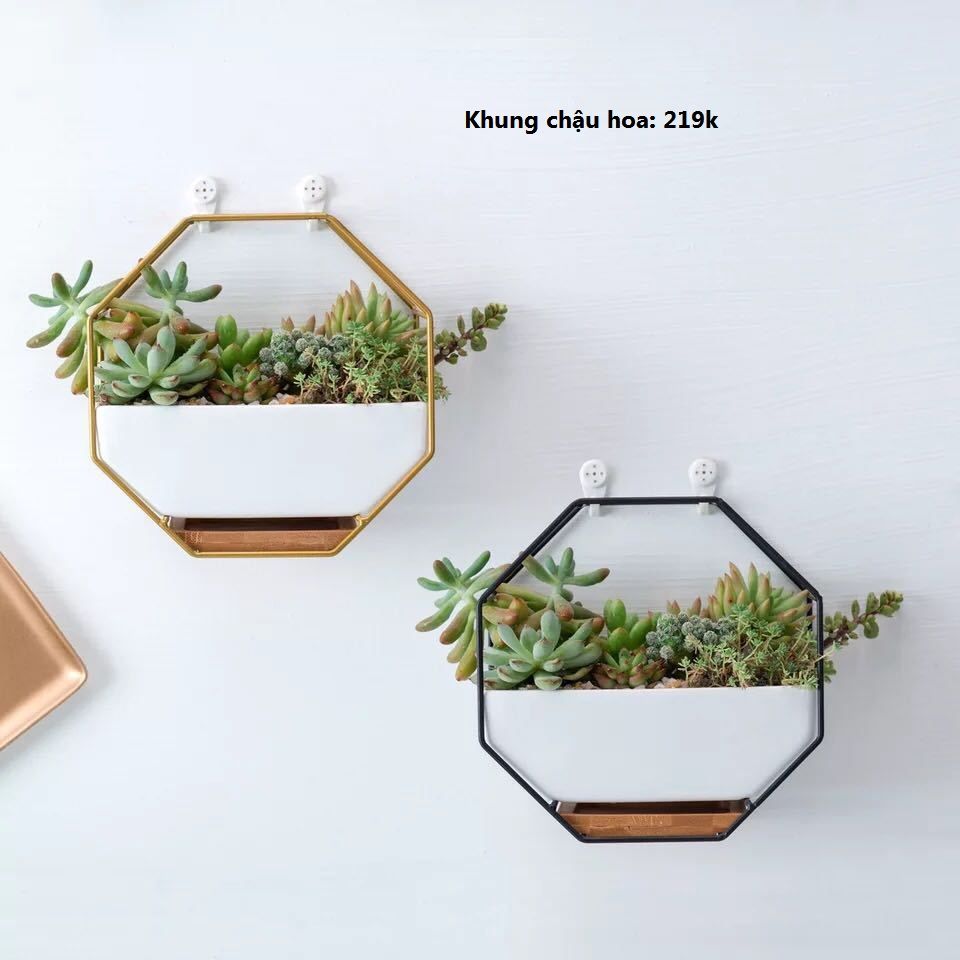 KHUNG CHẬU CÂY TREO TƯỜNG