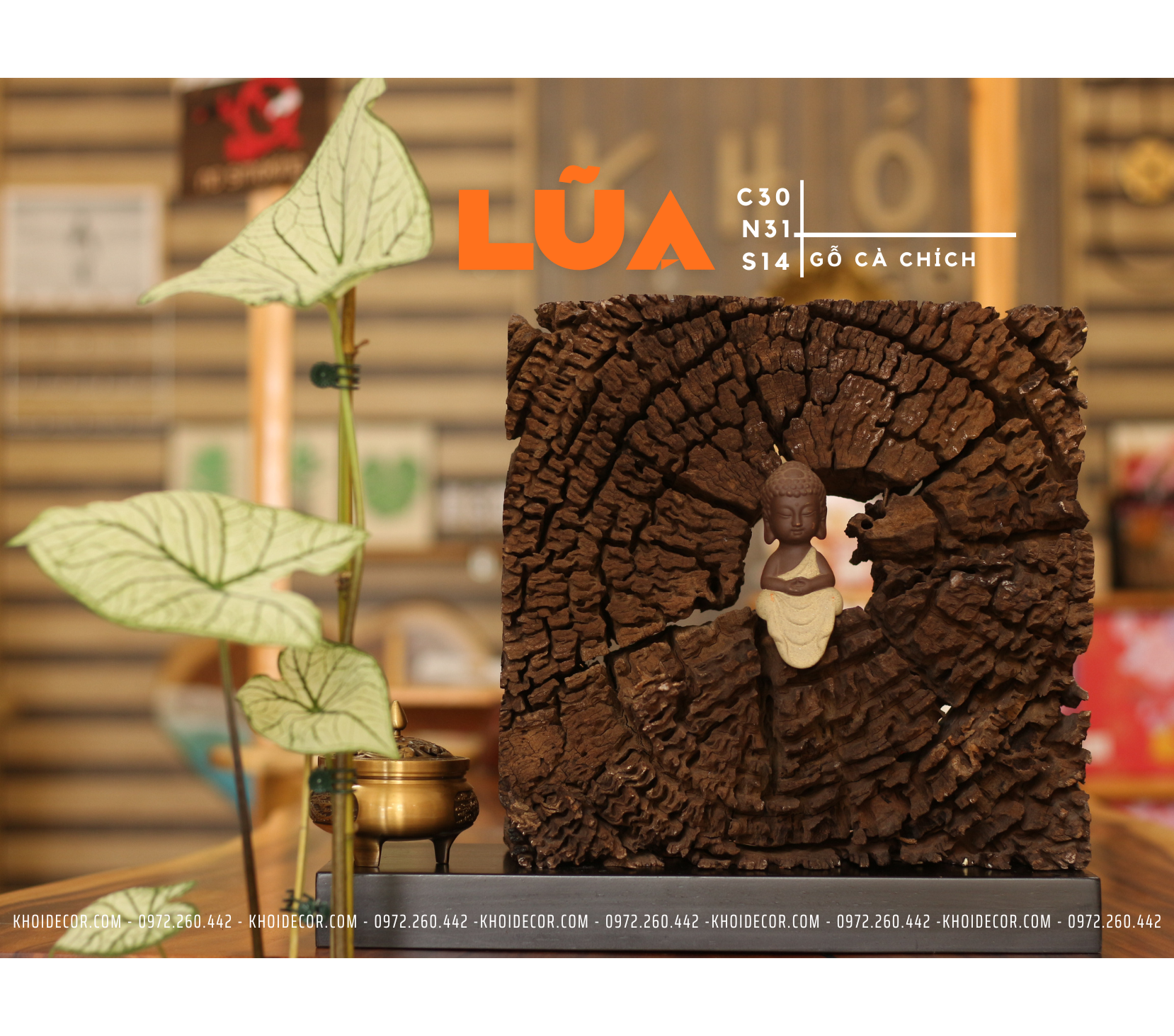 LŨA DECOR - C30